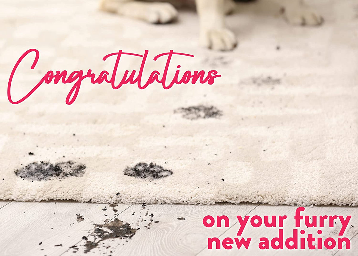 Haustier-Karte 'Congrats On Your New Furry Bundle Of Joy' – 145x145 Mm, Aus Recyceltem Karton, Mit Umschlag