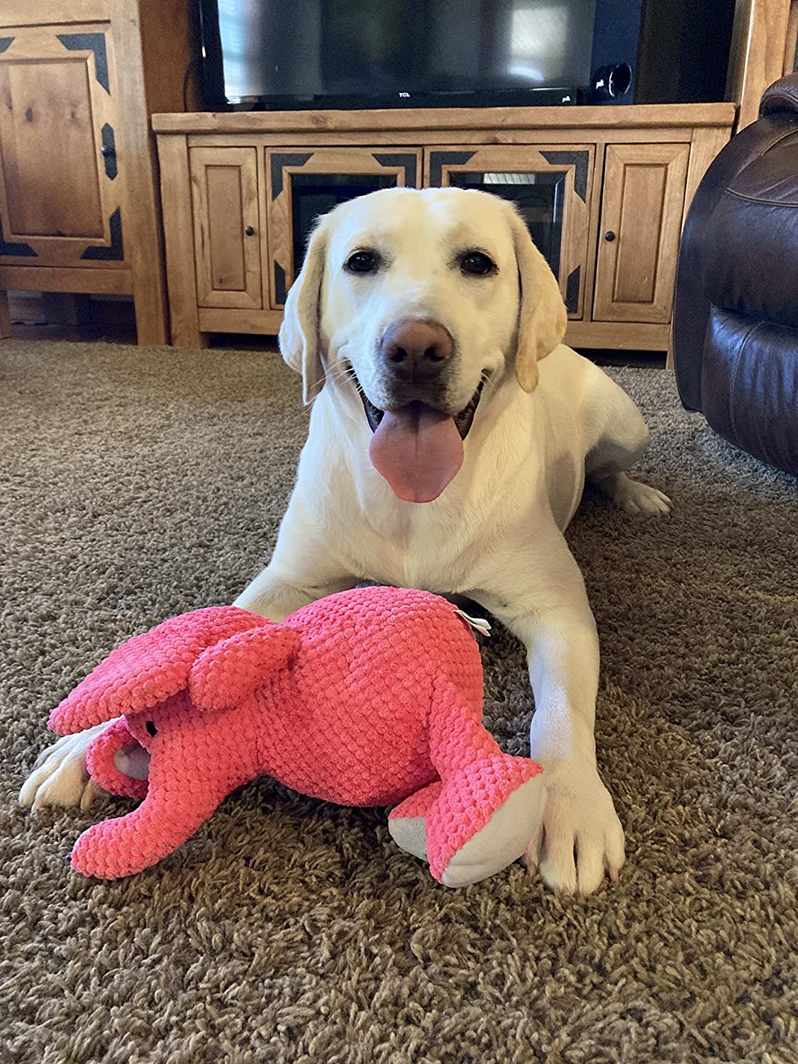 Dog Digging Toys: Engaging Playtime for Your Pup