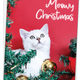 Meowy Christmas