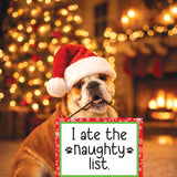 I Ate the Naughty List