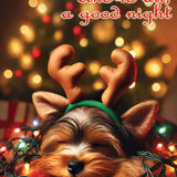 Yorkie