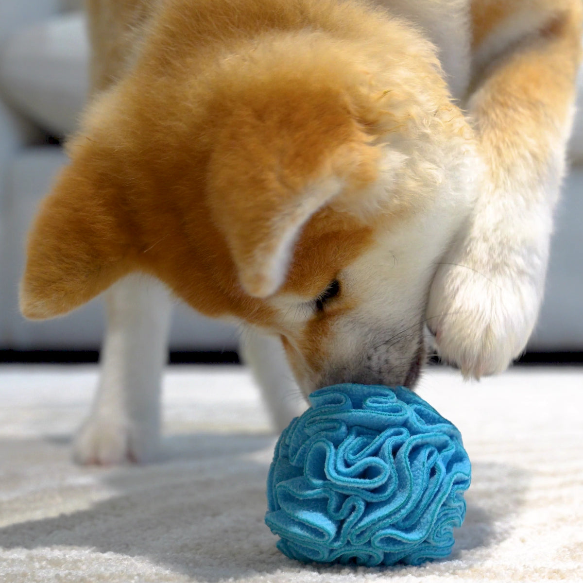 Bola Snuffle Para Perros - Juguete Interactivo De Forrajeo, Alivia El Estrés Y Estimula El Olfato