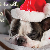 Frenchie